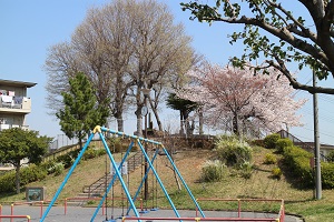 桜の時期の餅塚