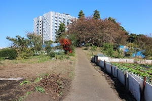 高尾山