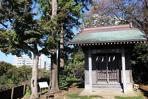 高尾山（飯縄神社）