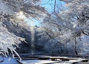 粉雪の柱