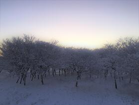 雪降った翌朝