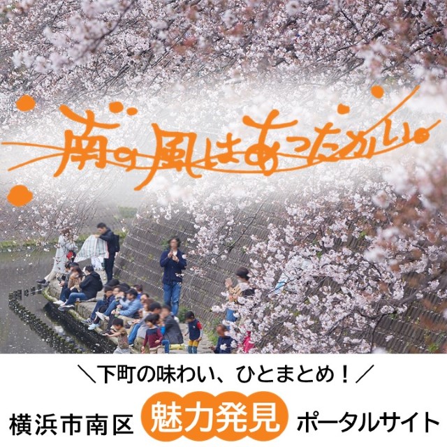 「横浜市南区魅力発見ポータルサイト」の画像