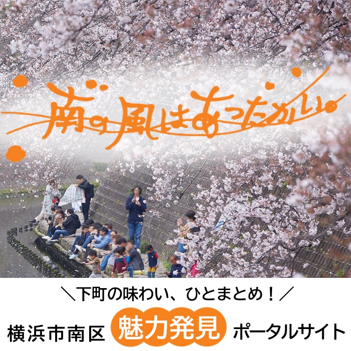 「横浜市南区魅力発見ポータルサイト」の画像