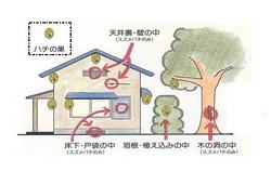 ハチが巣を作りやすい場所は天井裏、屋根の軒下、戸袋の中、植え込みの中など