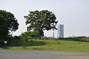唐沢公園