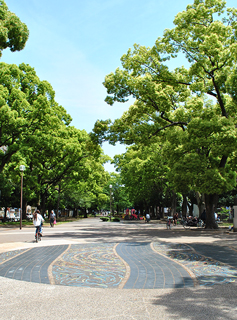 大通り公園