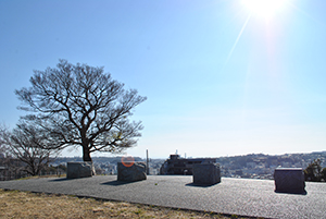 見晴らしの良い清水ケ丘公園