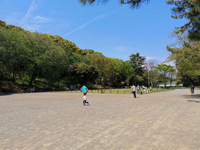 自由広場では親子連れが多く遊びます。