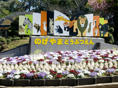 入口の写真