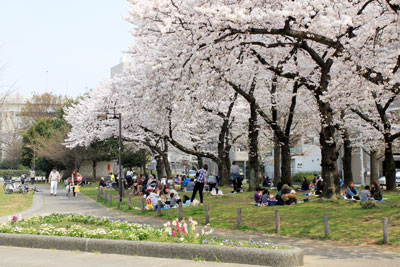 蒔田公園