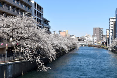 一本橋