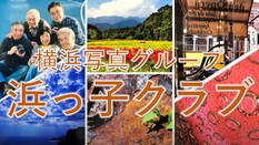 横浜写真グループ浜っ子クラブの皆さんの作品