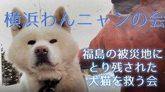 横浜わんニャンの会