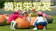 「栄写友」の皆さんの作品