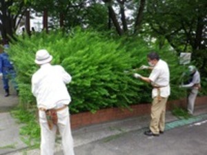 しんやましたのちょうめこうえん