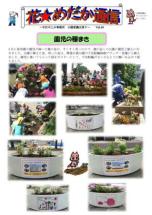 花めだか通信60号