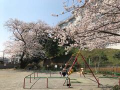 ブランコ遊具点検