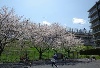 七曲公園