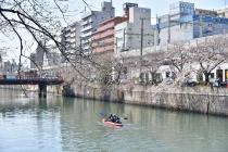 2021年3月23日の大岡川の桜の写真2