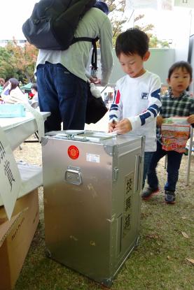 投票する少年