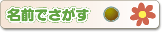 名前でさがす