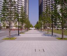 高島中央公園の写真　その１