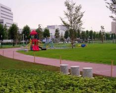 高島中央公園の写真　その２