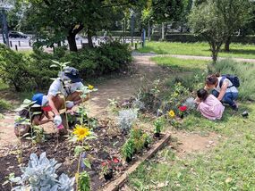 高島中央公園の花壇の写真