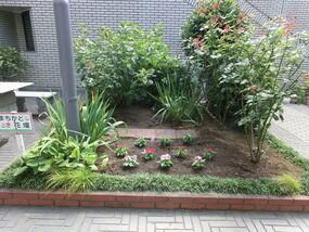 西地区センターの花壇の写真