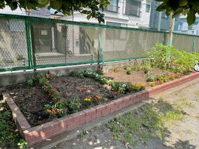 西前小学校の花壇の写真