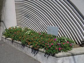 東小学校の花壇の写真