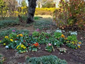 平沼集会所の花壇の写真