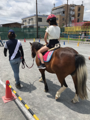 ポニー乗馬
