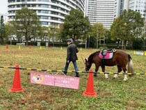 ポニー