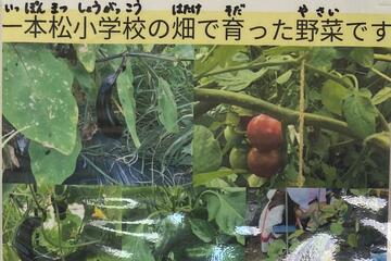 一本松小の畑
