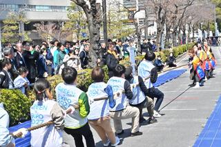 白熱したさくら綱引き選手権