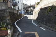 植勘坂