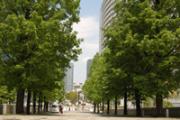 みなとみらい21地区２