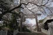 伊勢山皇大神宮
