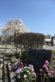 岡野公園