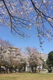 社宮司公園