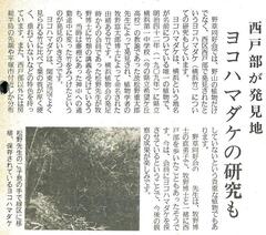 1985（昭和60）年6月号の画像