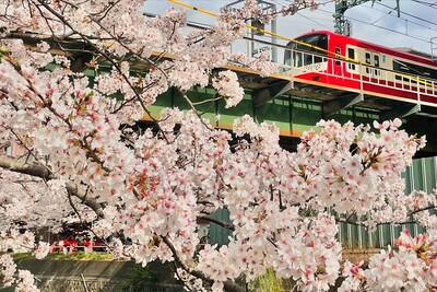 石崎川プロムナード　