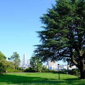 浅間台みはらし公園写真