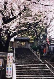 願成寺の写真