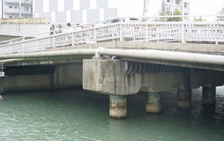 写真（平岡橋）