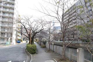 3月3日の石崎川プロムナードの風景写真