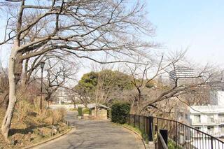 3月10日の掃部山公園