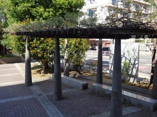 4月12日の藤棚地区センターの藤の写真です。