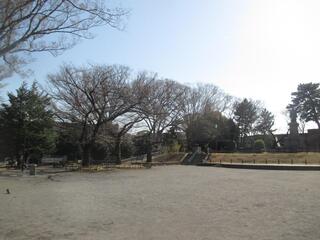 3月14日の掃部山公園の写真です。